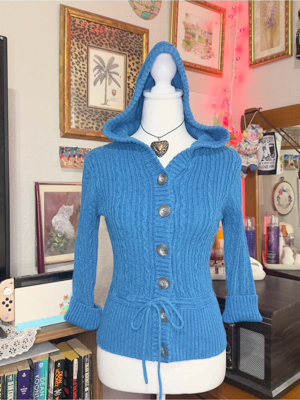 Y2K Aeropostale Hooded Button-Front Sweater